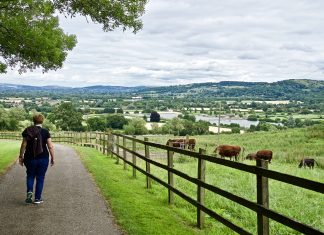 Morze Galilejskie o wschodzie słońca