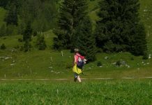 Internet i karty SIM w Wietnamie – jak pozostać online podczas podróży?