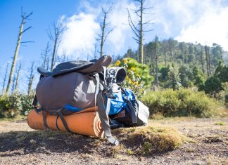 Słoweńskie zamki i pałace – najpiękniejsze budowle warte odwiedzenia