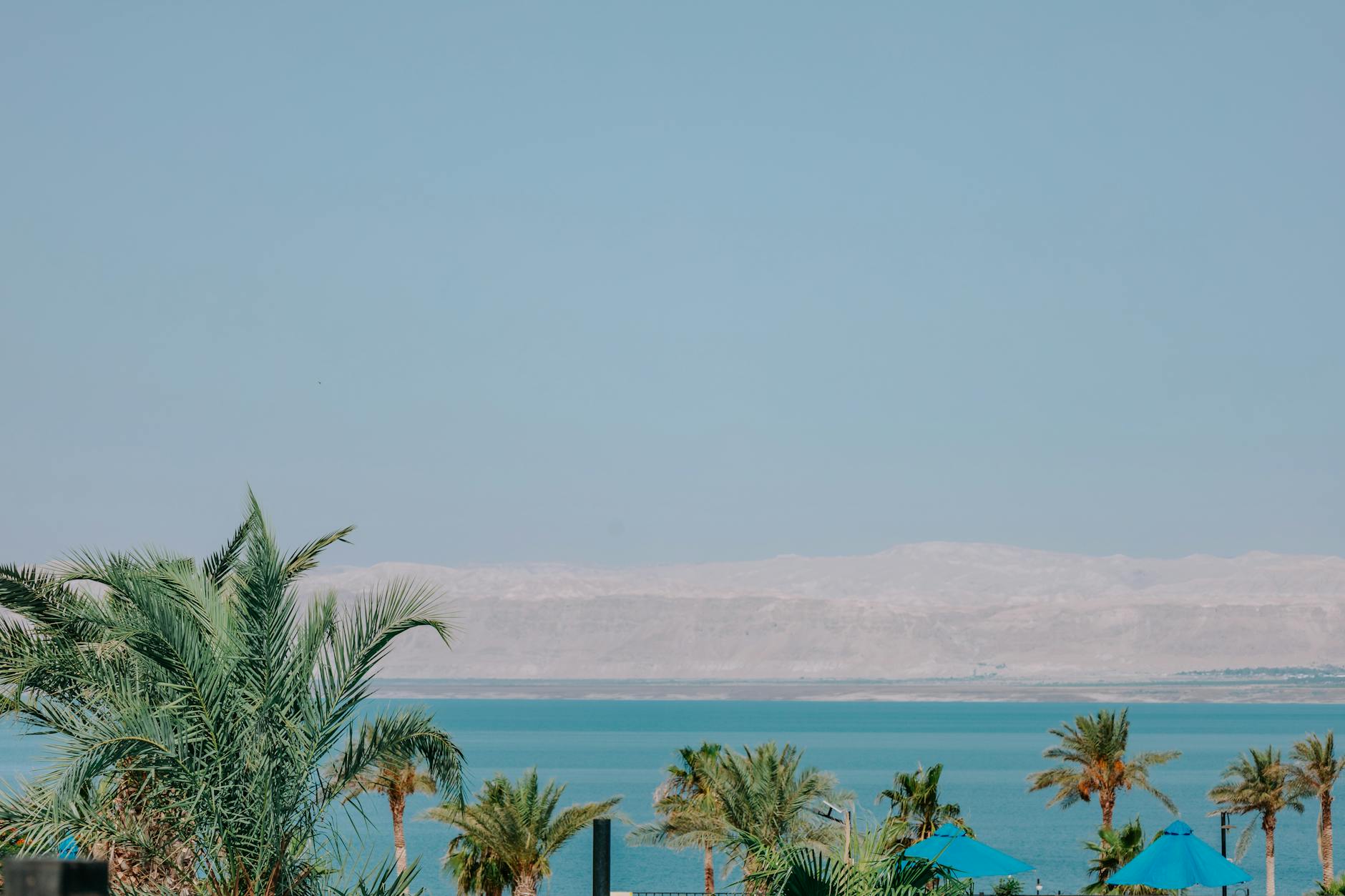 Basen z palmami nad morzem z górzystym brzegiem w Jordanii