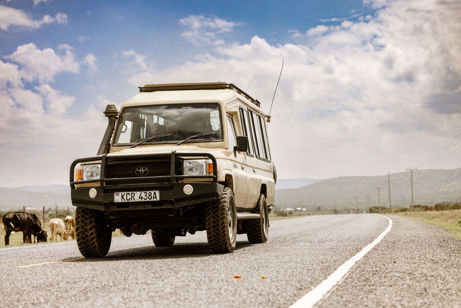 Jeep safari na wiejskiej drodze w Kenii obok pasącego się bydła Jeep safari na wiejskiej drodze w Kenii obok pasącego się bydła